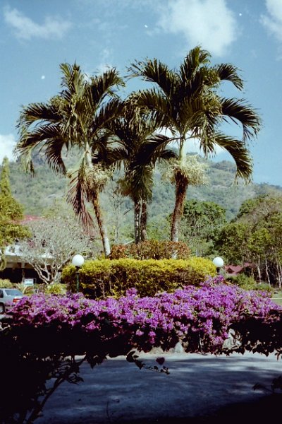 Thailand 2001-EX142.JPG